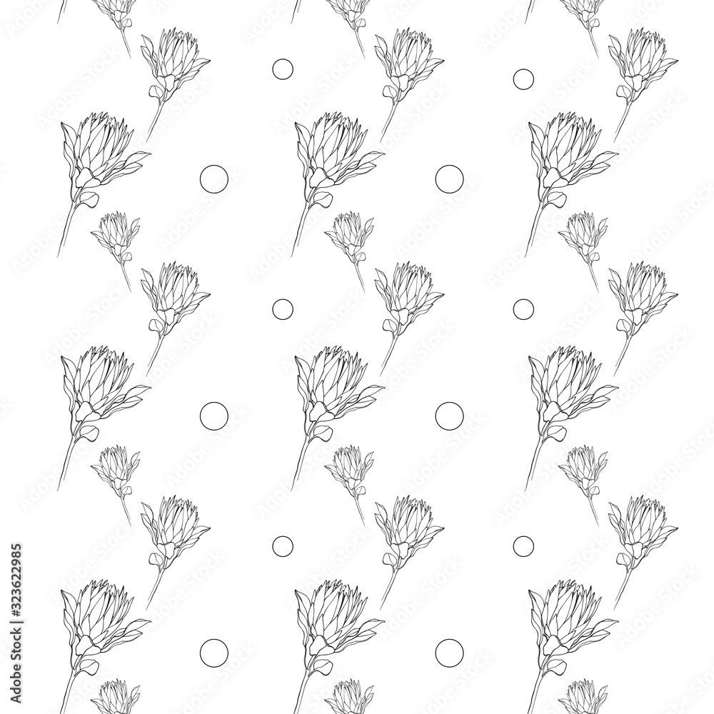 Proteus seamless pattern isolated on white background. Sketch Proteus. Print Proteus. Proteus Wrapping Paper