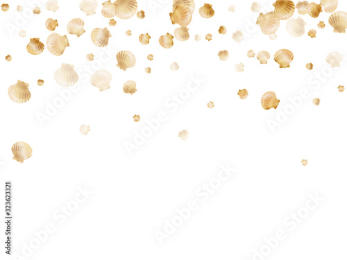 Gold seashells vector, golden pearl bivalved mollusks