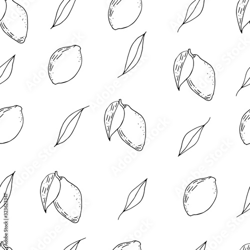 Seamless with lemons. Pattern with outline limes. Hand drawn citrus background. Sketch fruits seamless.