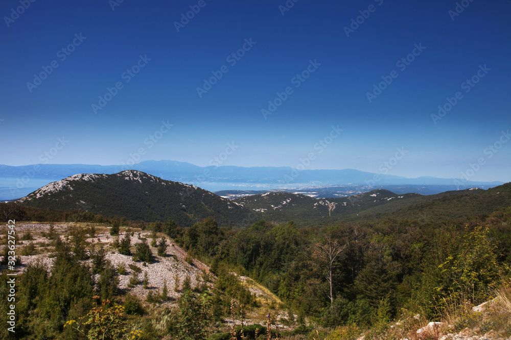 Aerial forest scenery European Forest. Beautiful mountain landscape, with mountain peaks covered with forest and blue sky
