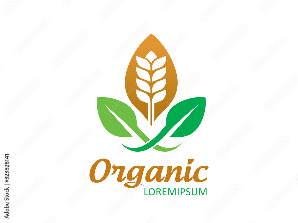 Wheat logo template design, icon, symbol Wheat logo template design, icon, symbol
