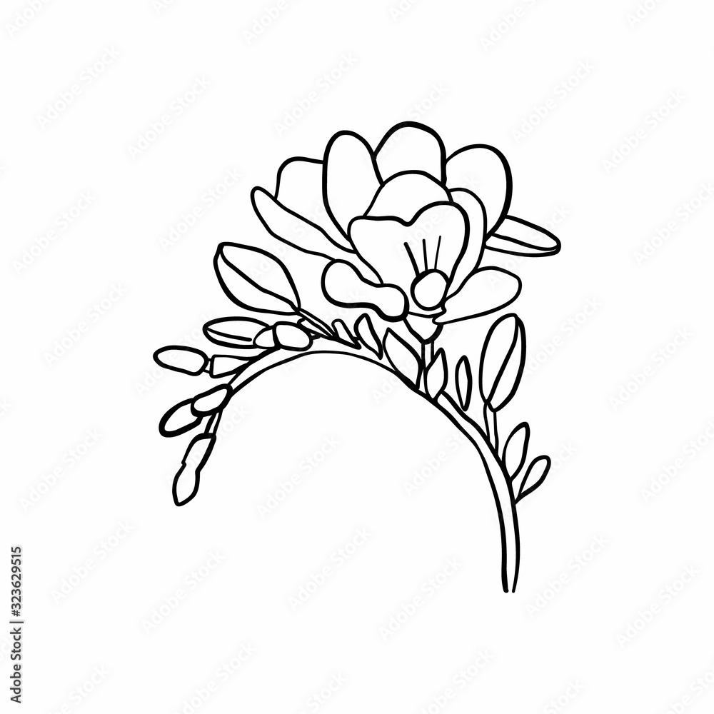 An exotic flower branch for your compositions. Staining. No color.