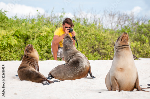 Photography Young tourist taking a photo of sea lions lounging on the beach in the Galapagos