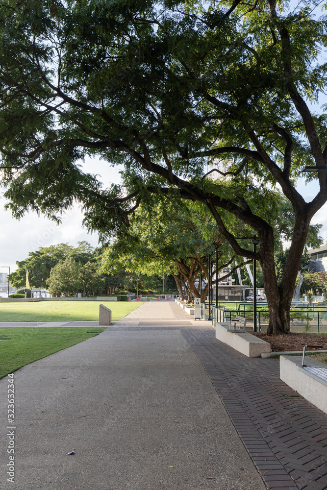 Empty pavement under the trees.