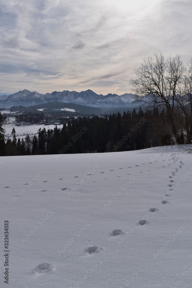 Tatry polskie Tatry polskie