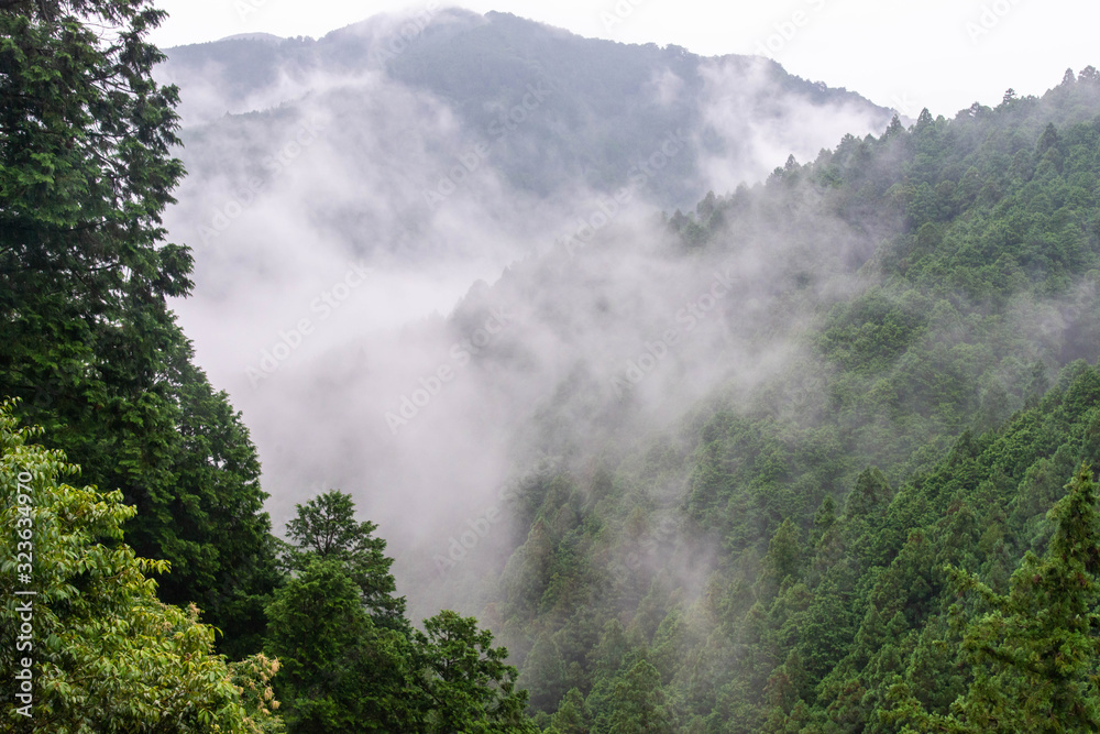 山々を包み込むように発生した霧