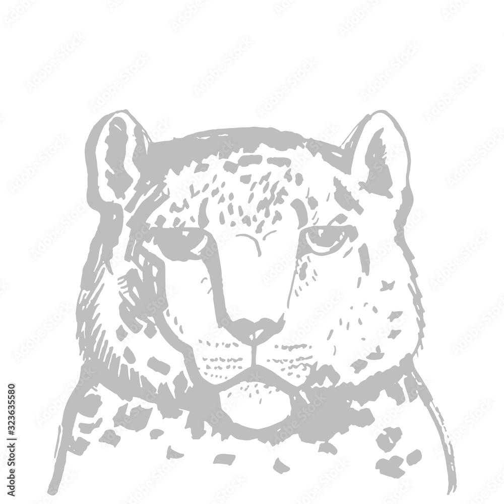 Obraz premium snow leopard ounce, large cat native to the mountain ranges of Asia ranging from eastern Afghanistan to Mongolia and western China. Gray sketch markers, freehand drawing isolated on white. Vector