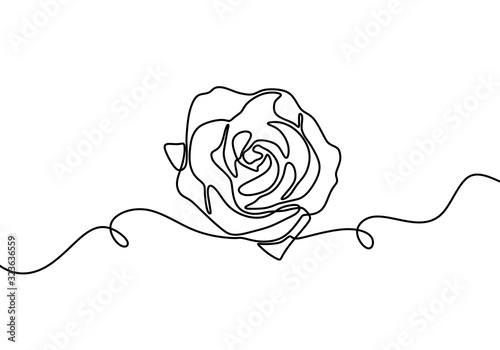 One line rose flower. Hand ...