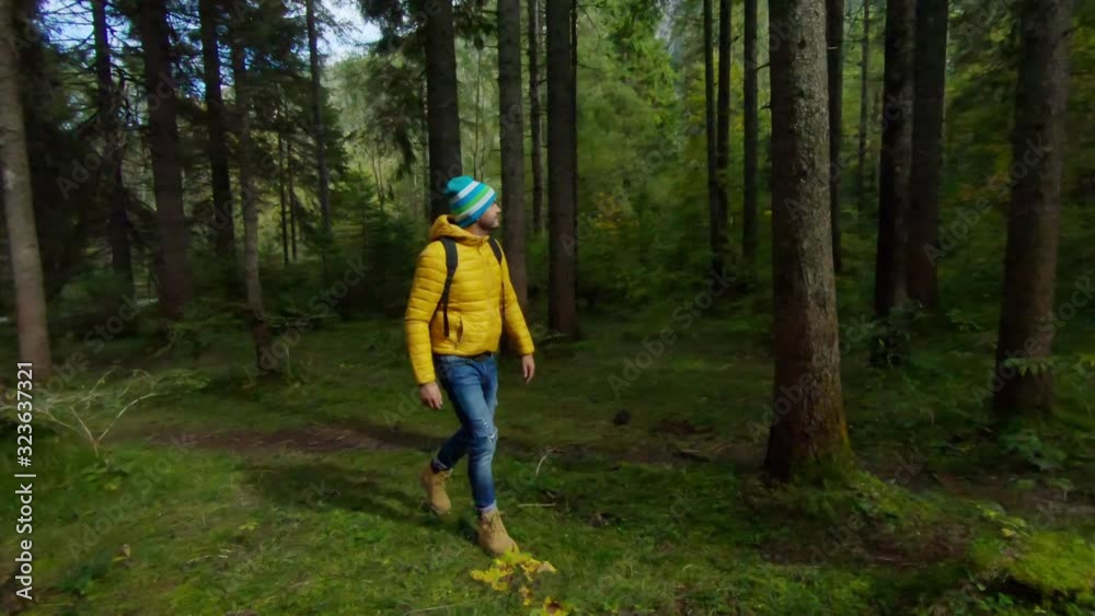 Single man hiking in forest, Parco Naturale dei Laghi di Fusine, Italy Single man hiking in forest, Parco Naturale dei Laghi di Fusine, Italy