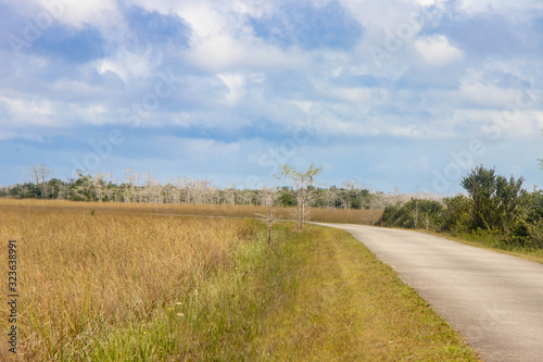 road in the countryside