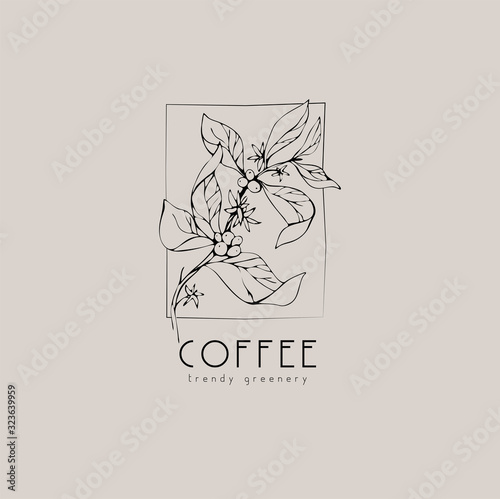 Coffee plant logo and branch. Hand drawn wedding herb, plant and monogram with elegant leaves for invitation save the date card design. Botanical rustic trendy greenery