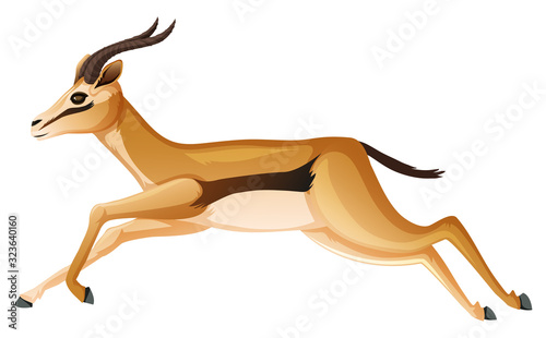 Wild anelope running on white background