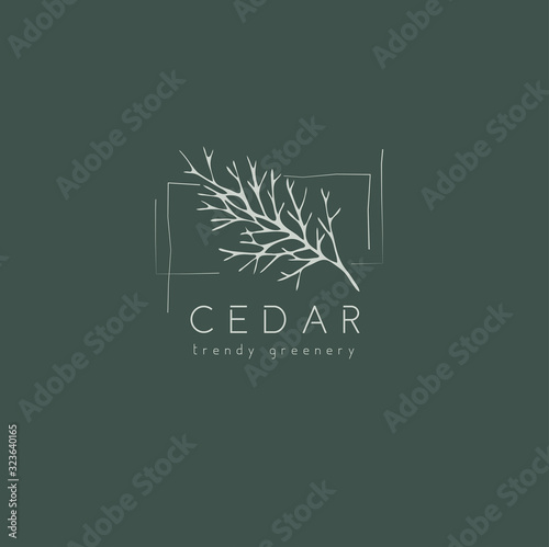 Cedar logo and branch. Hand drawn wedding herb, plant and monogram with elegant leaves for invitation save the date card design. Botanical rustic trendy greenery