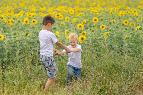 Two boys rother have fun in the field of sunflowers, summer, the concept of friendship photo