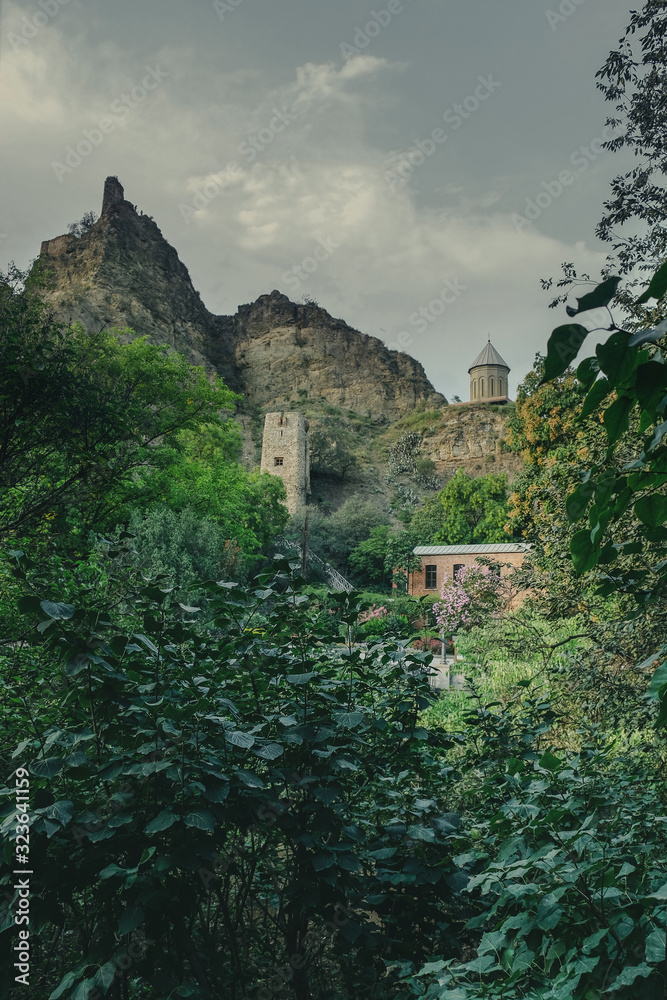 Fototapeta premium view of the fortress of Narikala from the Botanical Garden of the city of Tbilisi in Georgia in the evening in cloudy weather in the fall