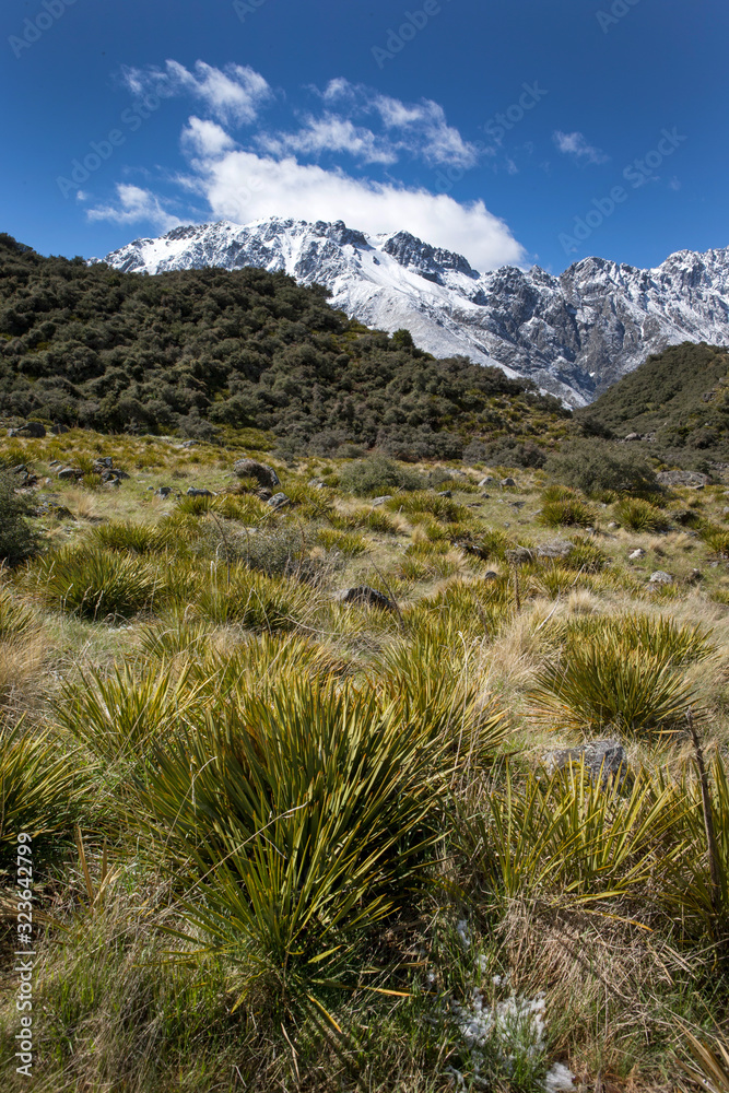 Mount Cook Tasman River New Zealand valley mountains snow Mount Cook Tasman River New Zealand valley mountains snow
