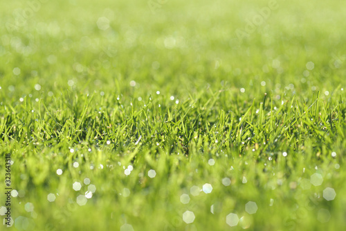 Saftig und frisch grüner Rasen Nahaufnahme mit Bokeh und schönen Lichtreflexionen