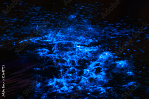 Bioluminescence sea sparkle in ocean tide photo