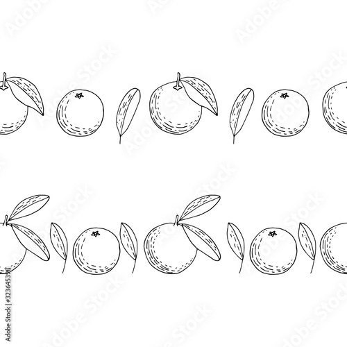 Hand drawn mandarins, oranges leaves frames. Outline citruses two borders. Sketch fruits vector decor.