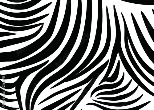 Vector background - zebra skin. For covers  business cards  banners  prints on clothes  wall decor  posters  canvases  sites. video clips. Vector illustration