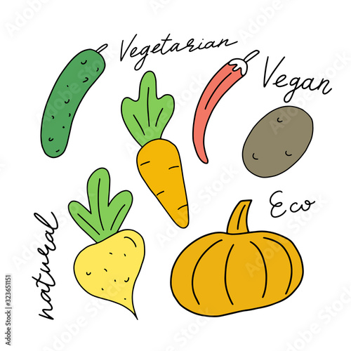 Fototapeta Naklejka Na Ścianę i Meble -  Set of vector handwritten elements. Healthy farm food. Natural bio product. Ink brush lettering. Hand drawn vegetables. Autumn is coming.