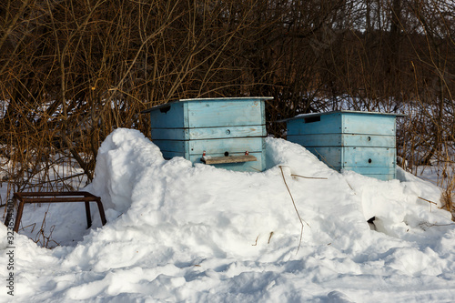 two beehives covered with snow in a winter forest