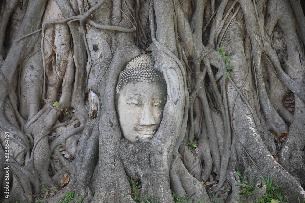 Wat Mahathat, Ayuttaya, Thailand