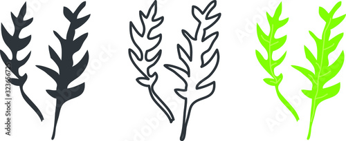 Rucola icon, vector line illustration