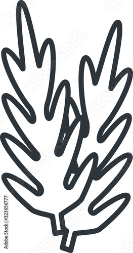 Rucola icon, vector line illustration