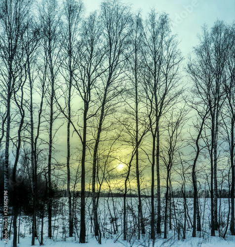Winter forest landscape at sunset in the evening. Beautiful traditional view of woodland. Location in the north of Russia.