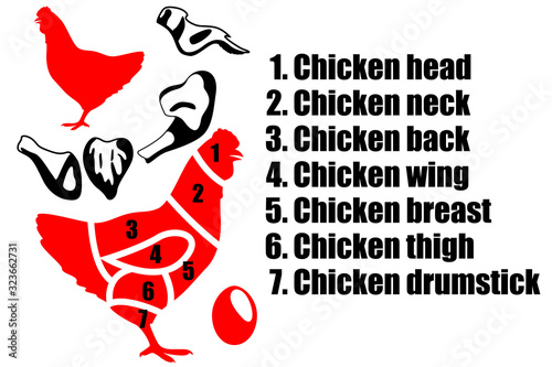 A set of four pieces of chicken, the silhouette of the chicken and how to carve the carcass. Part of the meat.