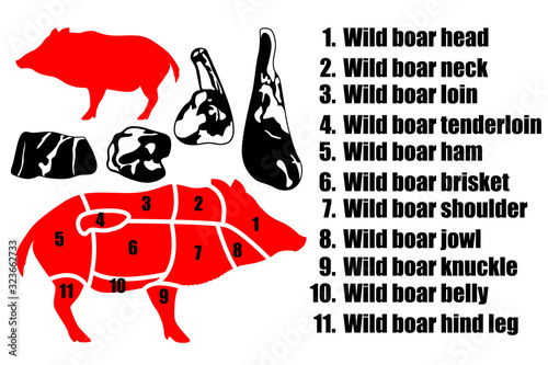 A set of four pieces of pork, the silhouette of a boar and how to carve the carcass. Part of the meat.