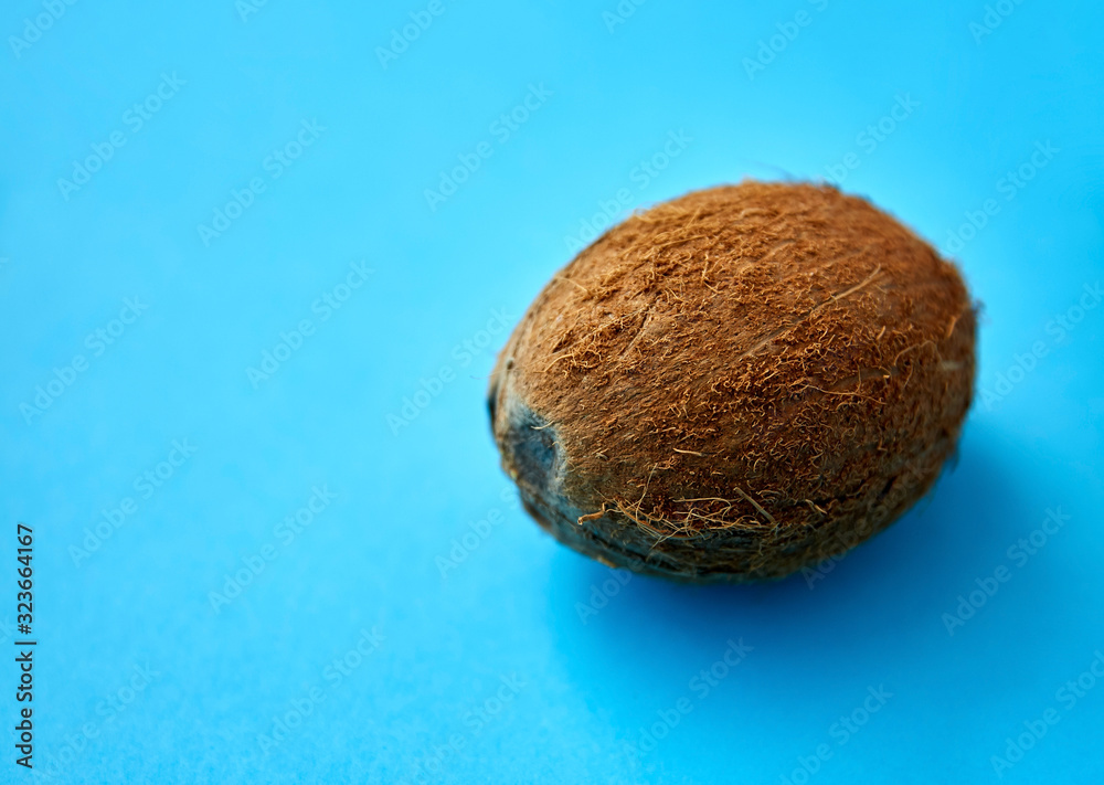 fruits, diet and food concept - close up of ripe coconut on blue background fruits, diet and food concept - close up of ripe coconut on blue background