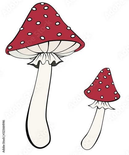 Cute cartoon hand drawn amanita mushrooms.  Fly agaric vector illustration.