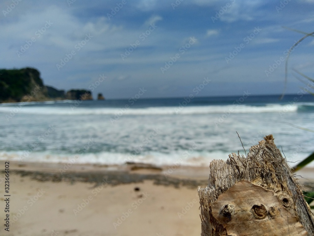 Wood on the beach with beautiful scenery. Good for background and quotes. Wood on the beach with beautiful scenery. Good for background and quotes.