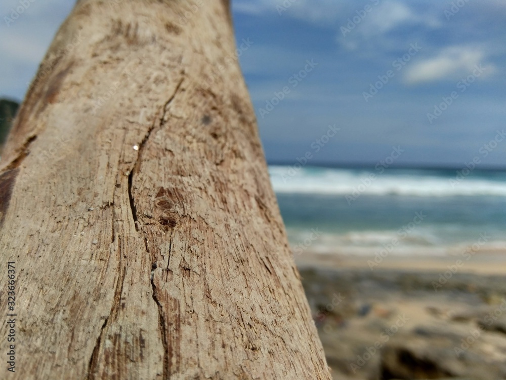 Wood on the beach with beautiful scenery. Good for background and quotes.