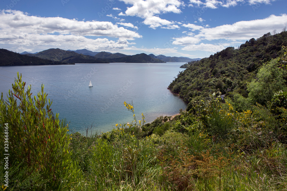 Marlborough Sound New Zealand