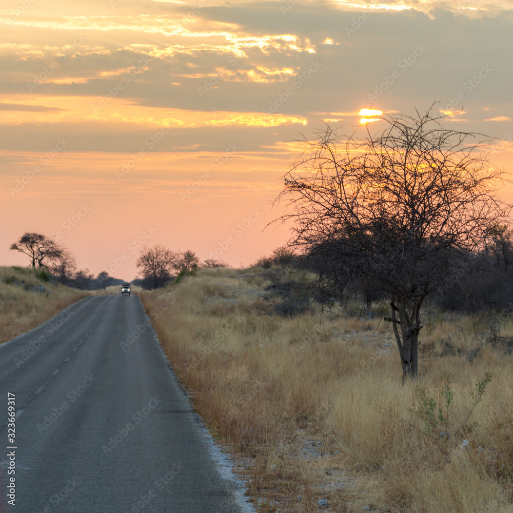 Obraz premium Coucher de soleil sur Etosha, Namibie