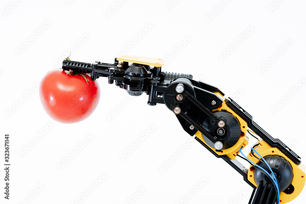 Robot hand arm with tomato