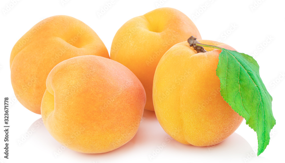Apricot isolated on white background. Clipping Path Apricot isolated on white background. Clipping Path