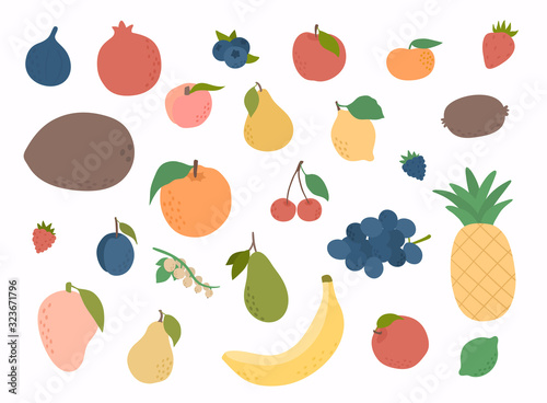 Set of colorful hand draw fruits. Tropical sweet fruits  and citrus fruit illustration. Vector set of fresh Fruits.