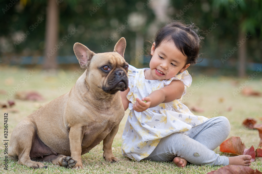 Beautiful little girl playing with her french bulldog backyard at noon.