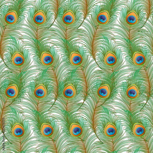 Peacock feathers Seamless pattern, background. Colored vector illustration isolated on white background