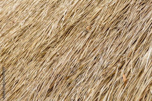 Roof made of straw, closeup view for background