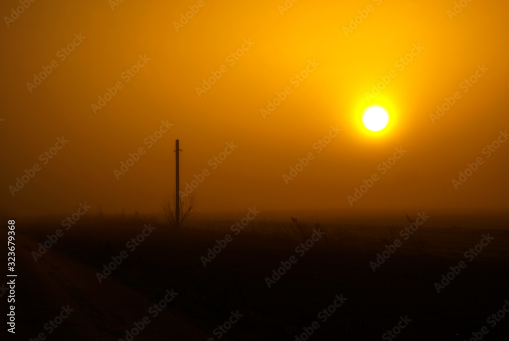 Foggy meadow with tall grass and lonely electric current pillar in the cloudy orange evening.