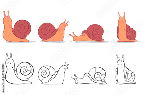 Garden snail vector cartoon set isolated on a white background.