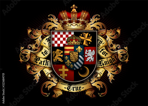 Heraldic shield with a crown on a black background. High detailed realistic illustration
