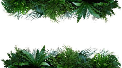 Green leaves nature frame layout of tropical plants bush (Monstera, palm, fern, rubber plant, pine, birds nest fern) foliage floral arrangement on white background with clipping path.