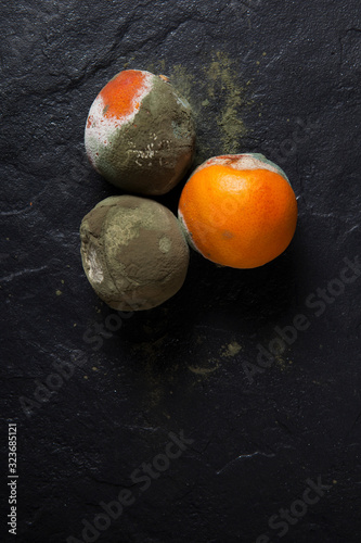 Rotten Oranges. Incorrect storage. Spoiled fruits on a dark background. Horizontal orientation. Copy space. photo