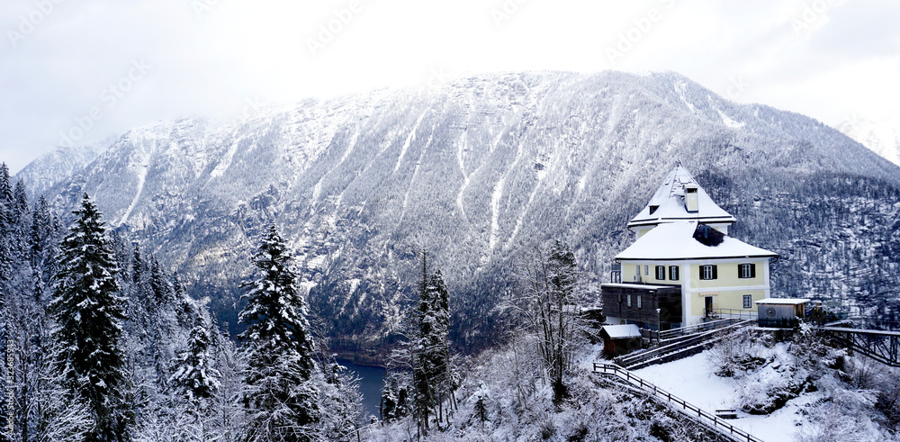 Viewpoint of Hallstatt Winter snow mountain landscape through the forest